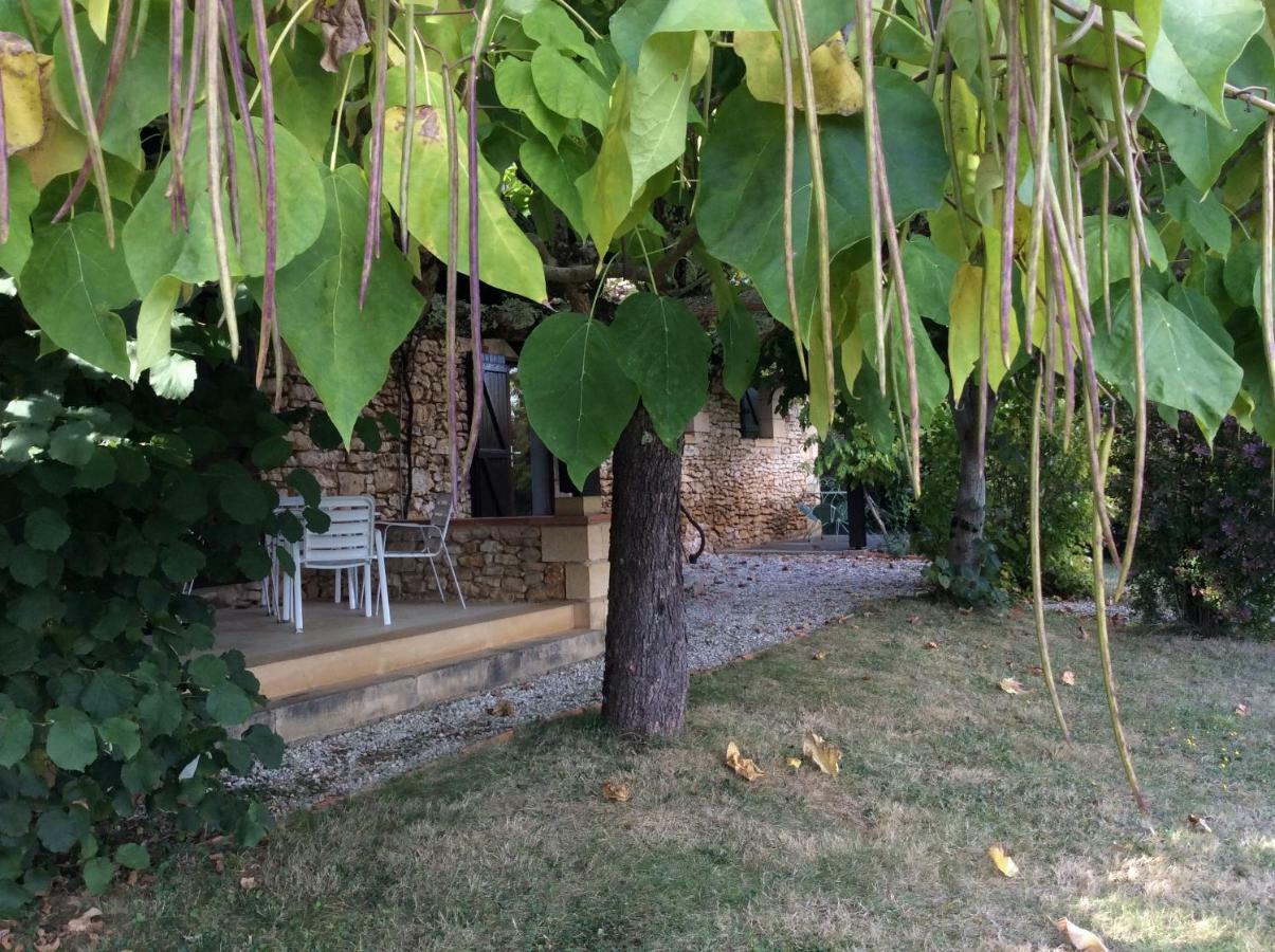 Domaine De Manilau Villa Le Buisson-de-Cadouin Luaran gambar