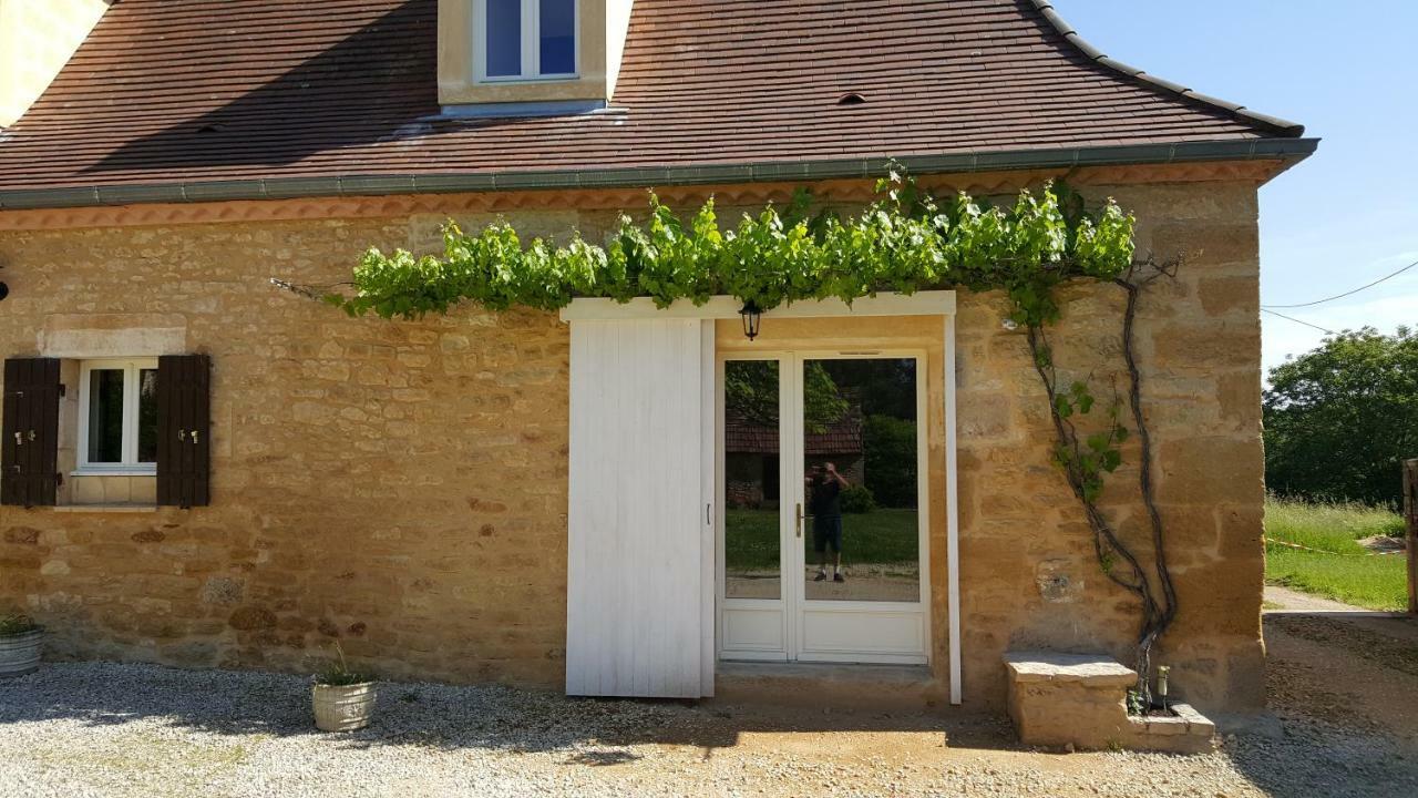 Domaine De Manilau Villa Le Buisson-de-Cadouin Luaran gambar